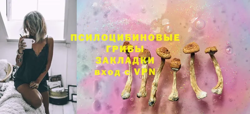 Галлюциногенные грибы Magic Shrooms  Унеча 